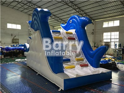 Dolphin Inflatable Water Slide And Pool , Water Park Slide China BY-WS-078